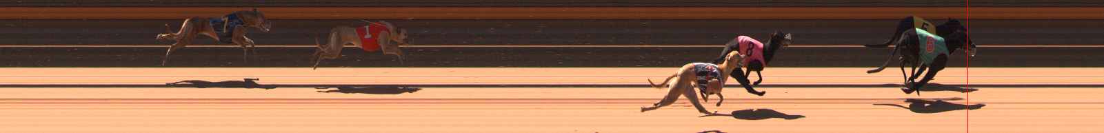 Race result finish photo